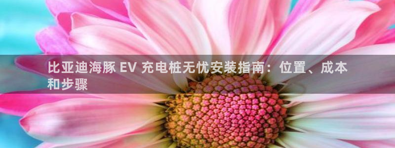 法甲威廉希尔2023年2月2号南特VS马塞：比亚迪海豚 EV 充电桩无忧安装指南：位置、成本
和步骤